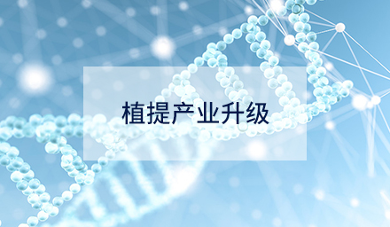 技術(shù)創(chuàng)新如何驅(qū)動(dòng)植提產(chǎn)業(yè)升級(jí)？